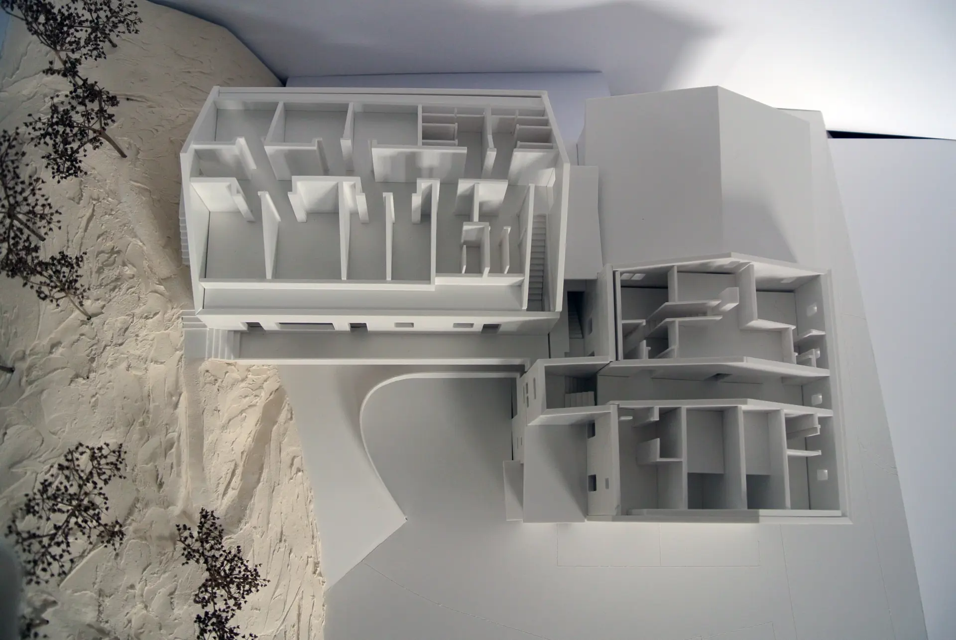 06_Bergwaldzentrum Trin_Studie